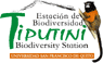 Tiputini